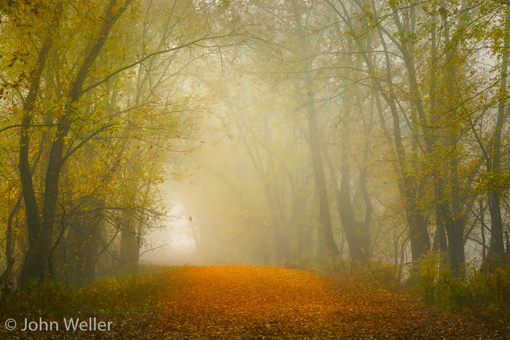 A walk in the fog on a fall morning at the Oxbow.