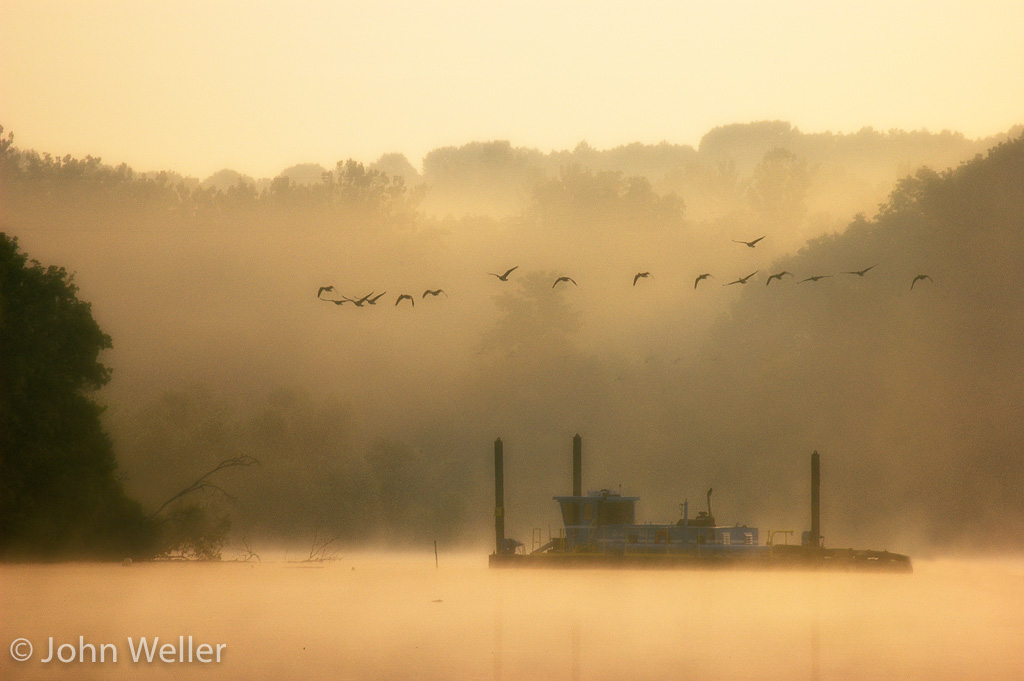 Geese flying over Acton Lake on a foggy morning.