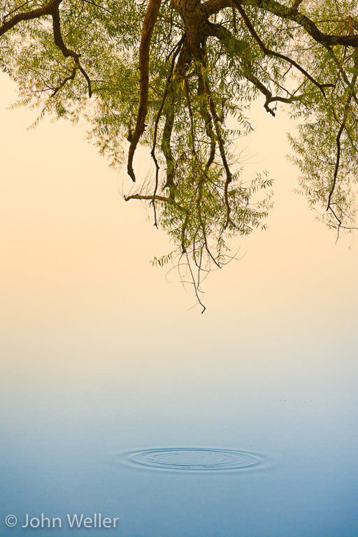 A water ripple on the Ohio River on a foggy morning.