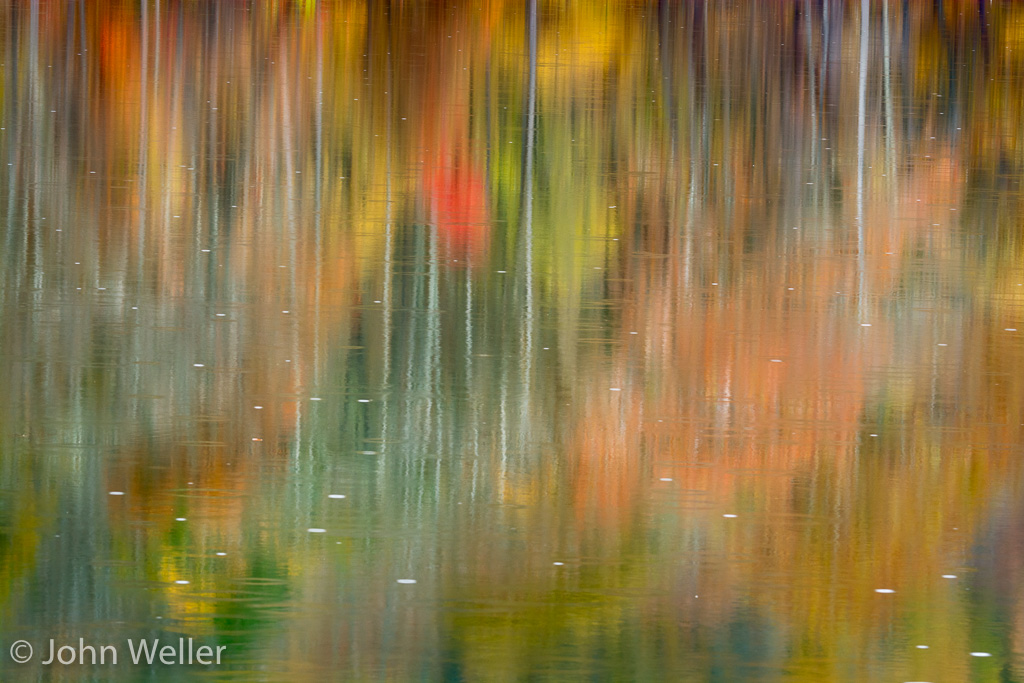 Rain drops ripple Pine Lake at Tar Hollow State Park.