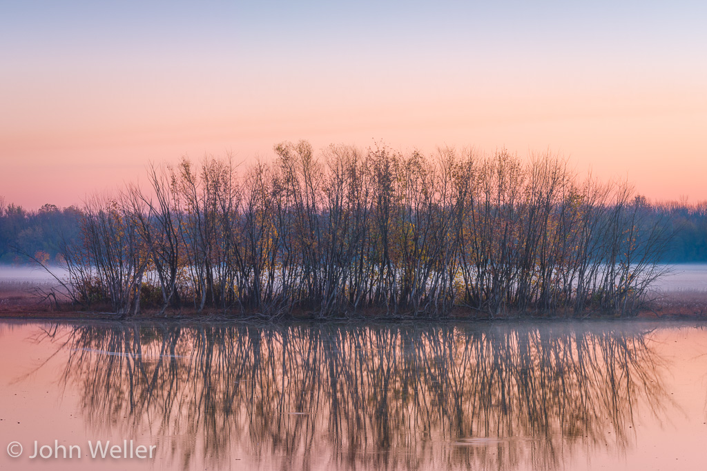 A stand of trees line the bank at the Oxbow on a misty morning.